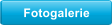 Fotogalerie
